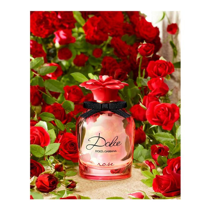 Dolce gabbana best sale rose