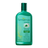 Farmaervas-Babosa-e-Ginseng---Shampoo-320ml